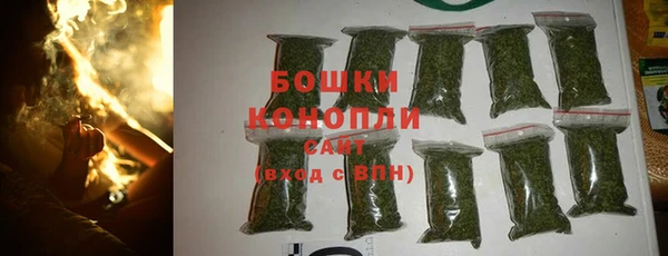 a pvp Новозыбков