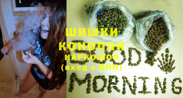 a pvp Новозыбков