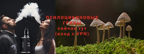 ГАЛЛЮЦИНОГЕННЫЕ ГРИБЫ Новокубанск