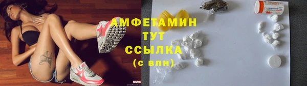 a pvp Новозыбков