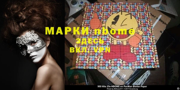 a pvp Новозыбков