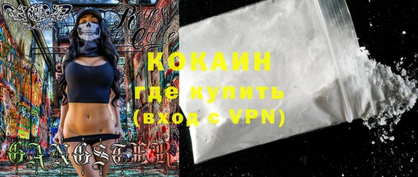 a pvp Новозыбков